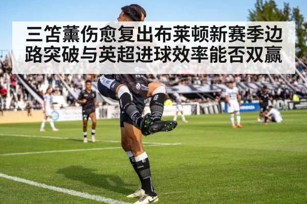 三笘薰伤愈复出布莱顿新赛季边路突破与英超进球效率能否双赢